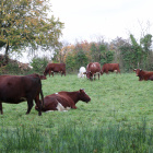 They don't know yet, what's gonna happen...